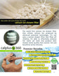 Aquarius Water C360 Shower Filter - Alkaline World
