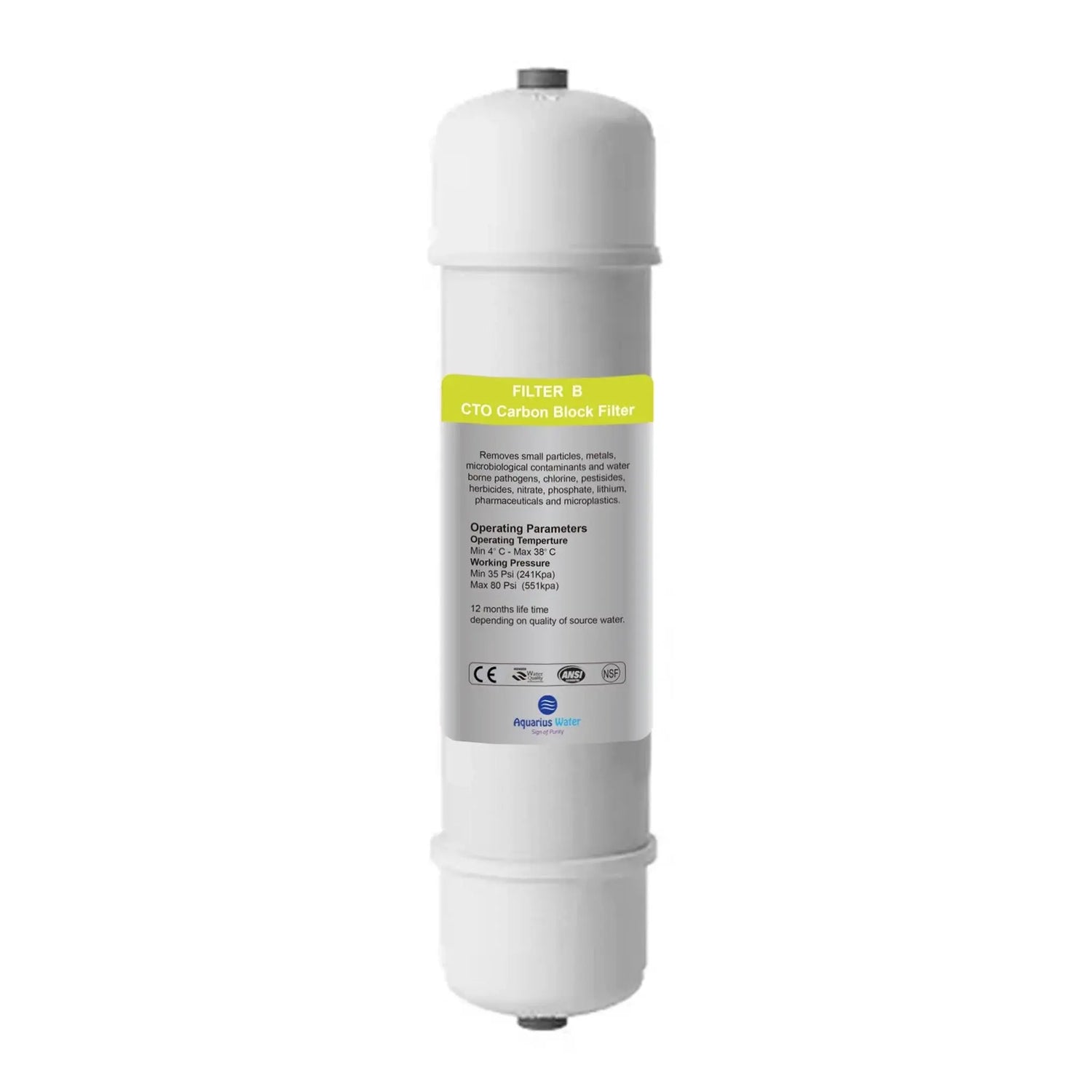 Filter B Aquarius System Replacement Filter Aquarius Water