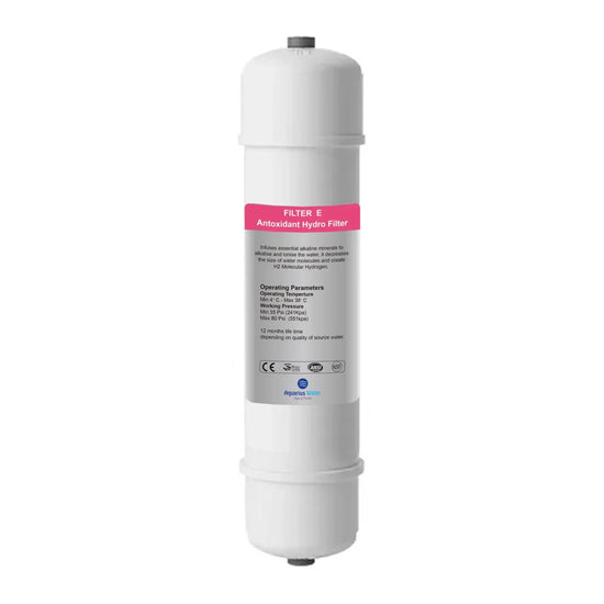 Filter E Aquarius System Replacement Filter Aquarius Water