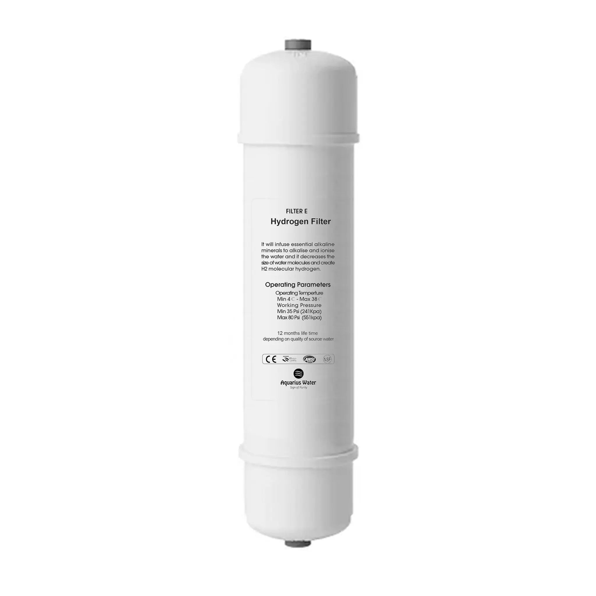 Filter E Aquarius System Replacement Filter Aquarius Water