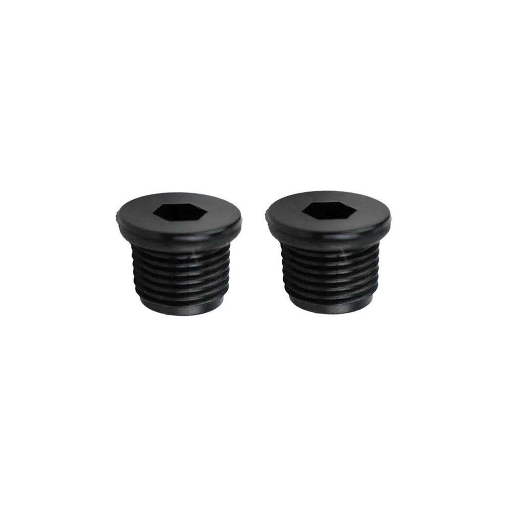 Aquarius Wellness pressure gauge plug 1/4-inch for housing cap, shown in black with threaded connection.