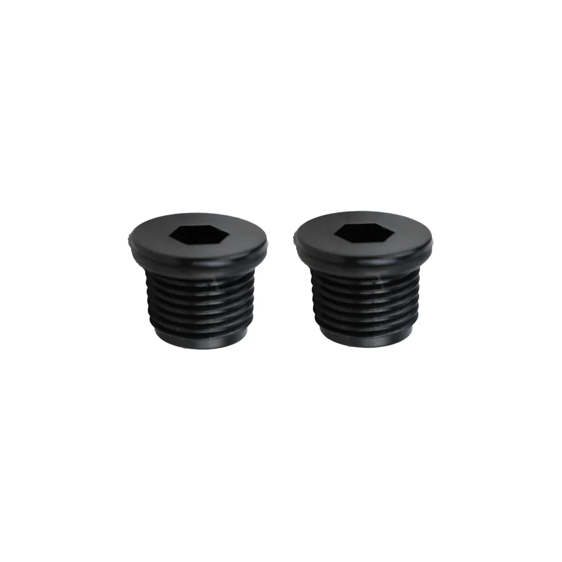 Aquarius Wellness pressure gauge plug 1/4-inch for housing cap, shown in black with threaded connection.