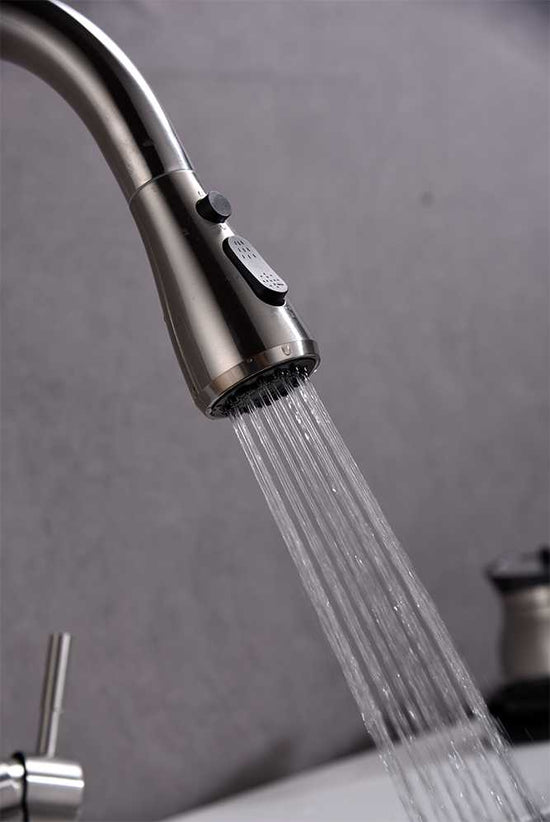 3 Way Mixer Tap with Dual Spout & Pull Out Spray Nickel Aquarius Water