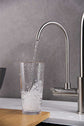 3 Way Mixer Tap with Dual Spout & Pull Out Spray Nickel Aquarius Water